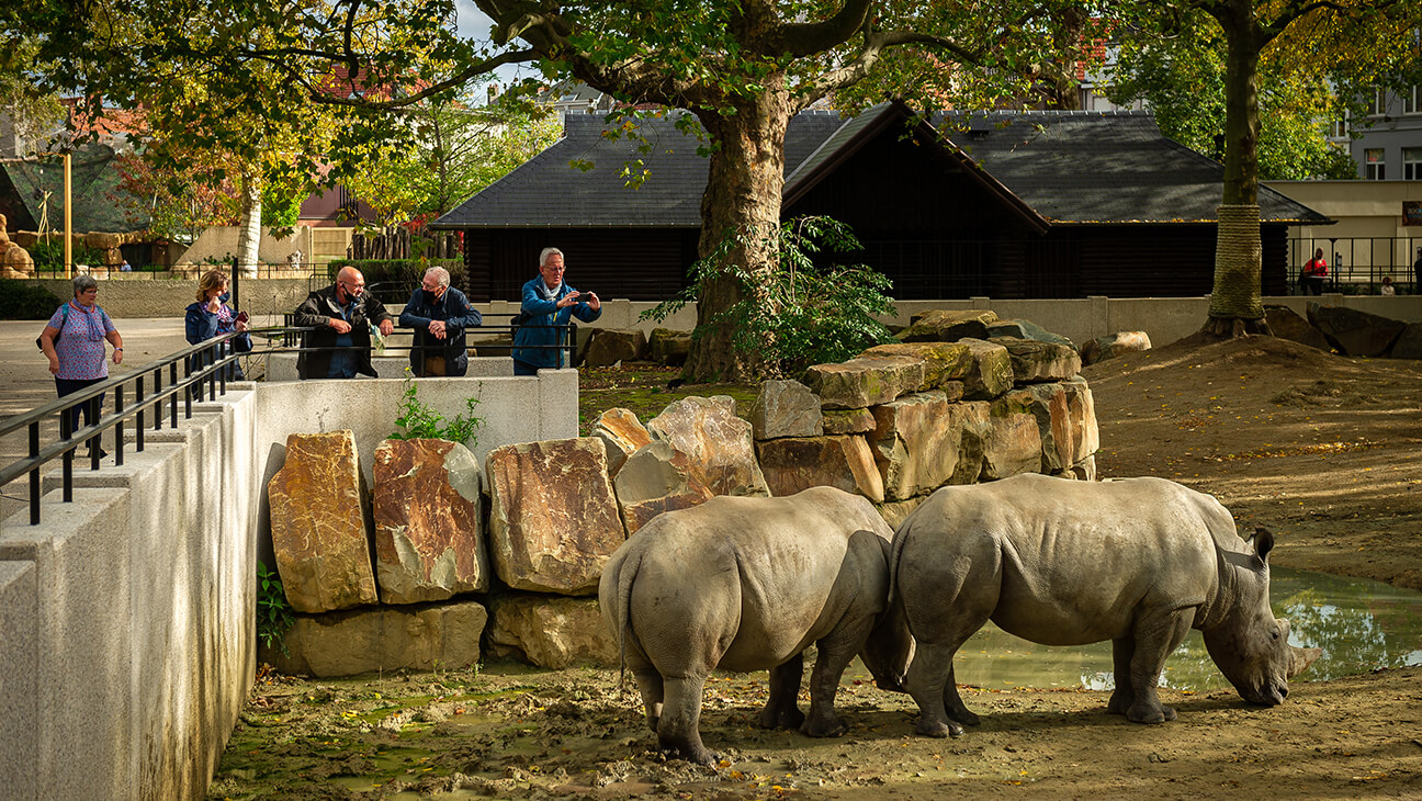 korting zoo antwerpen lerarenkaart