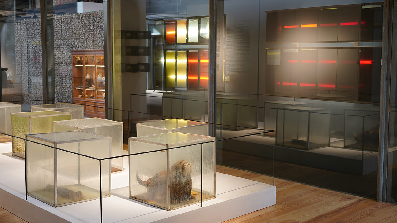 Zaal met kunstwerken in Verbeke foundation