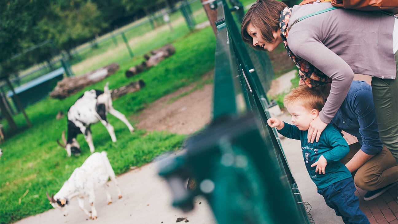 Moeder en zoon kijken naar geitjes in Domein Kiewit Natuurcentrum