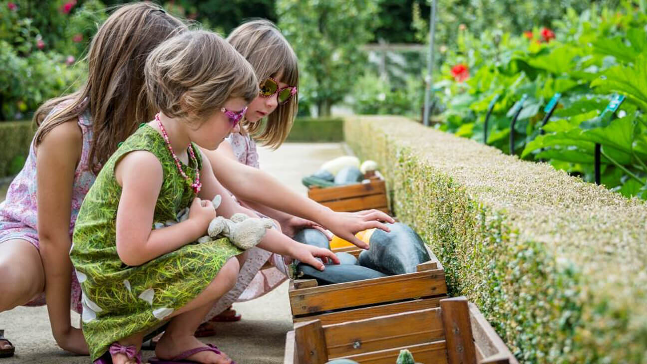 Kinderen in moestuin bij groenten