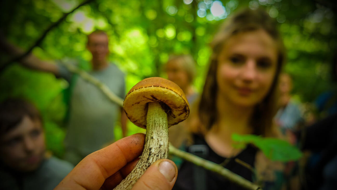 Meisje met paddestoel tijdens workshop van Outdoorschool