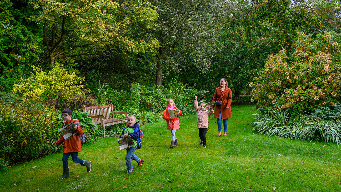 Kleuters op speurtocht in het Arboretum in Kalmthout