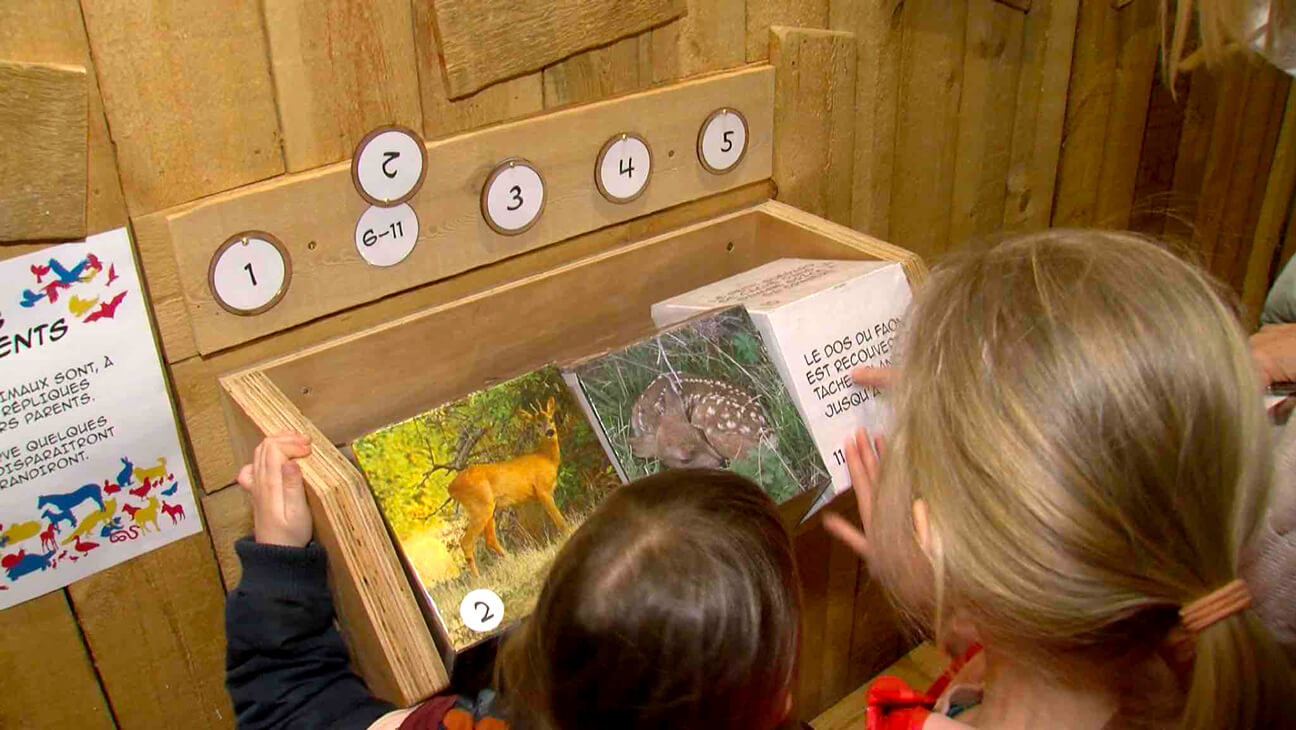 Kinderen ontdekken via foto's de dieren van het bos- Escale forestière