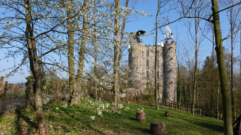 Gevel van het Musee du Silex