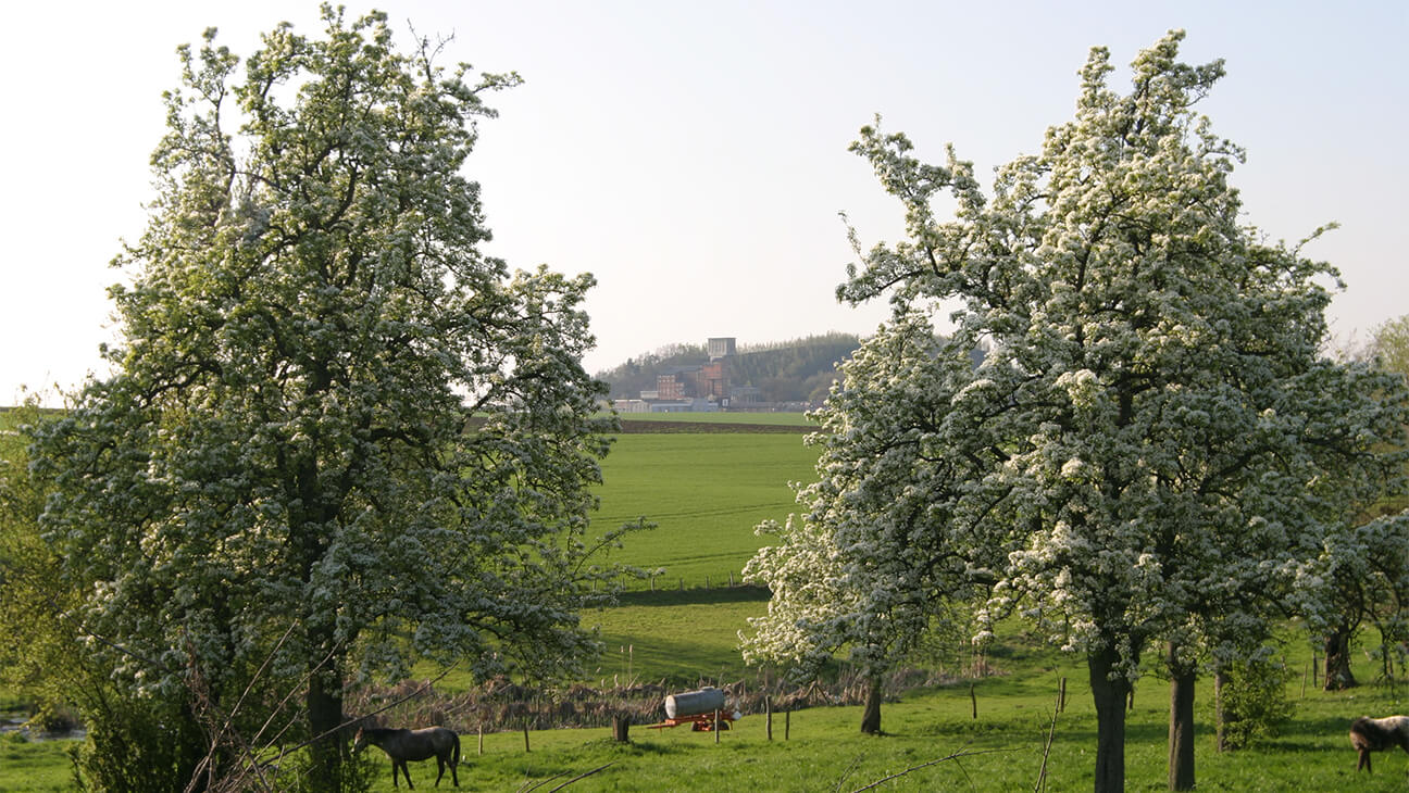 Panaroma bij Rondrit in het Land van Herve