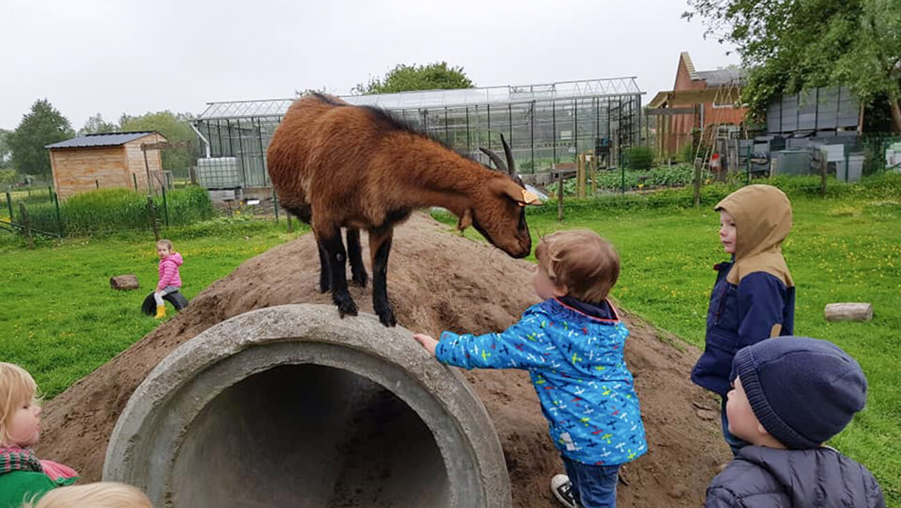 Kinderen op de geitenknuffelweide bij Kinderboerderij d'Oude Smelterij