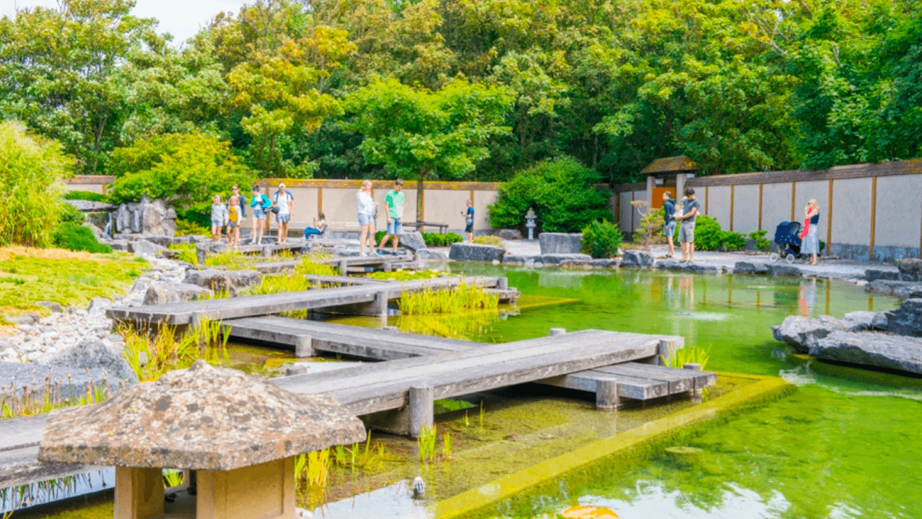 Japanse Tuin Shin Kai Tei in Oostende