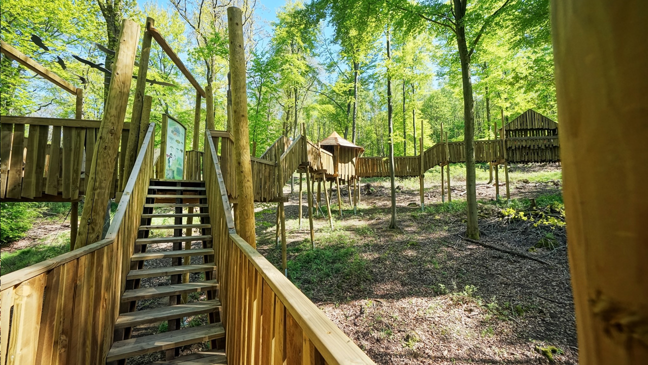 houten loopbrug tussen de bomen