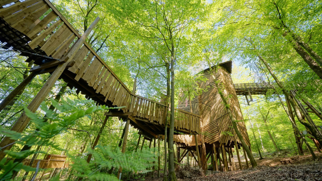 houten loopbrug tussen de bomen