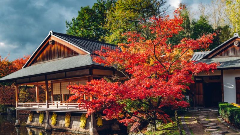 Japanse tuin Hasselt