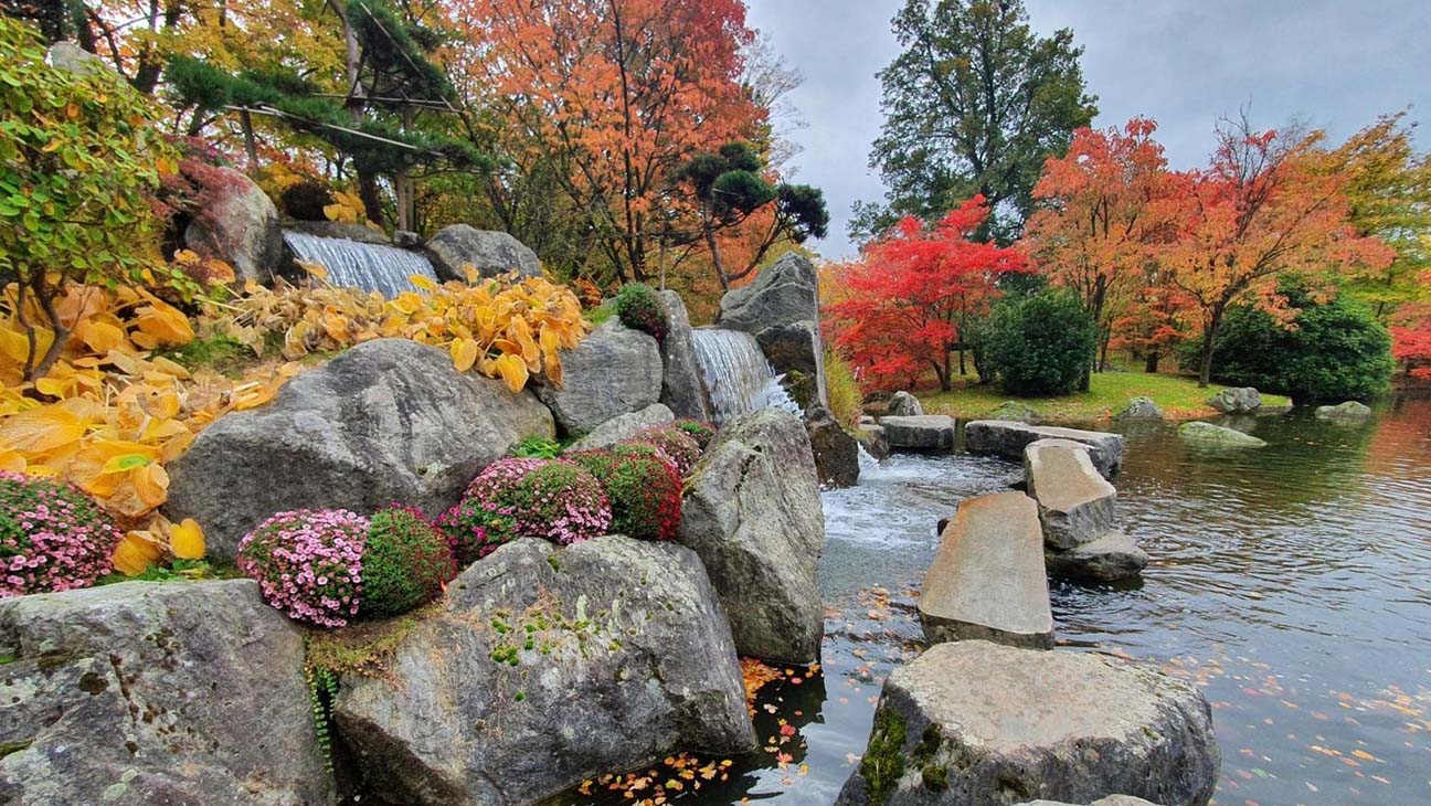 Japanse tuin Hasselt