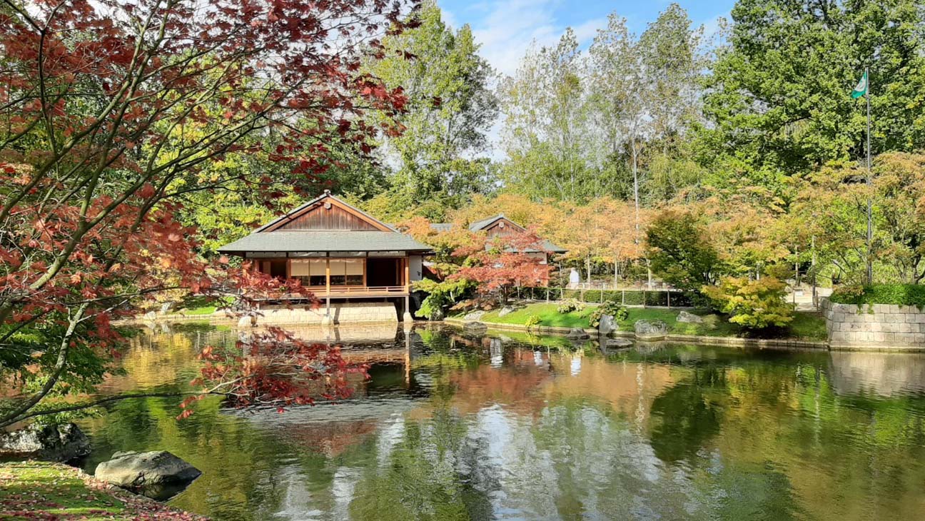 Japanse tuin Hasselt