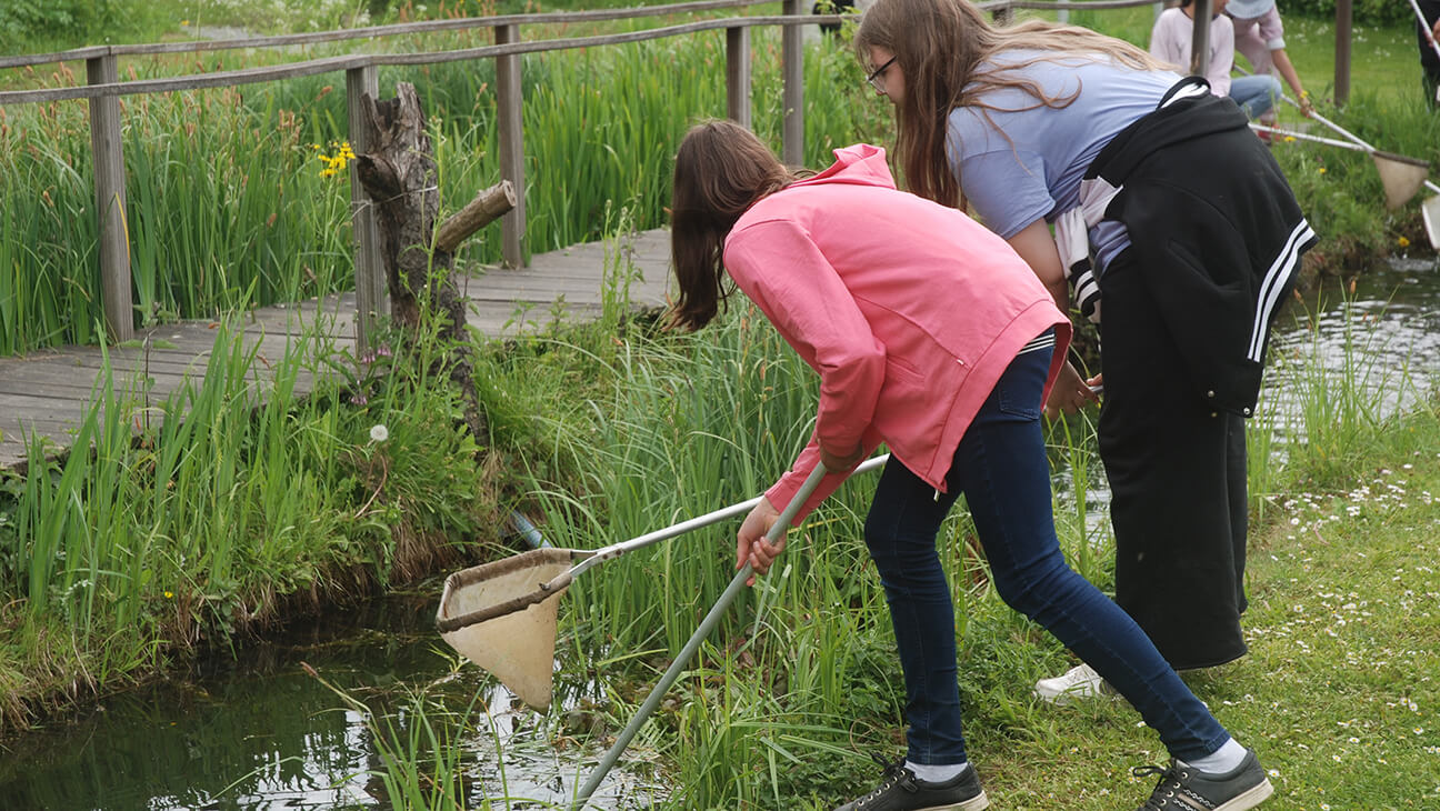 Kinderen met een schepnet