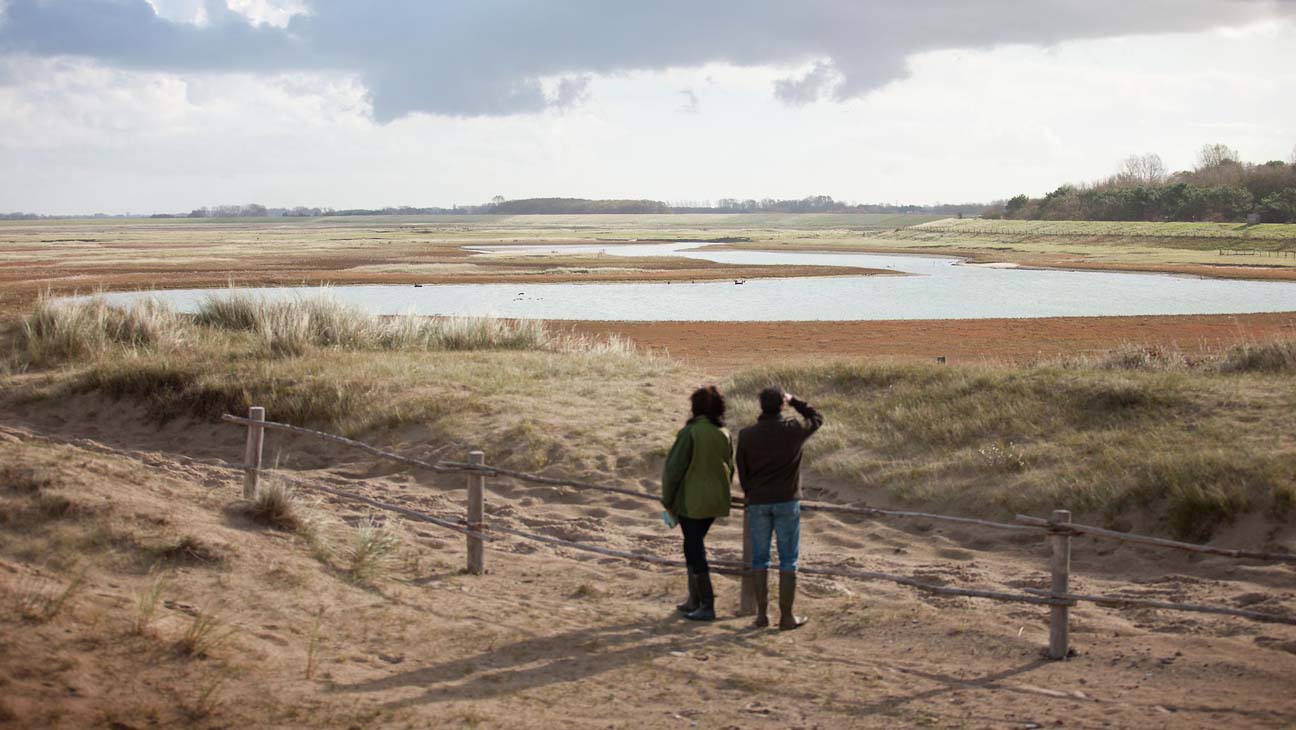 Natuurpark het zwin