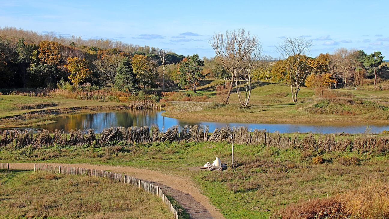 Zwin Natuur Park vergezicht