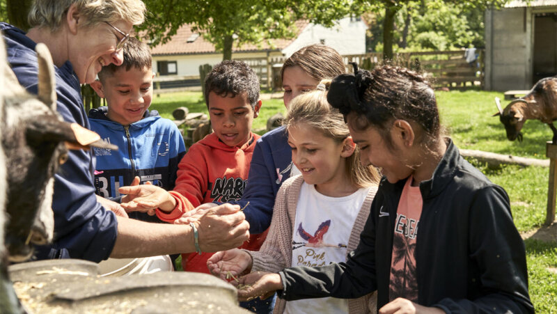 Kinderen op de schoolhoeve 'de campagne'