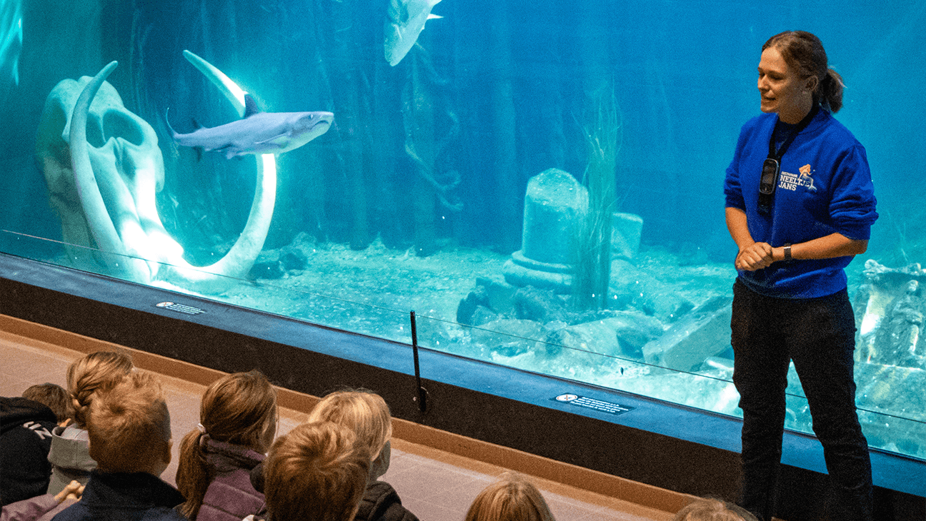 Aquarium in deltapark Neeltje Jans