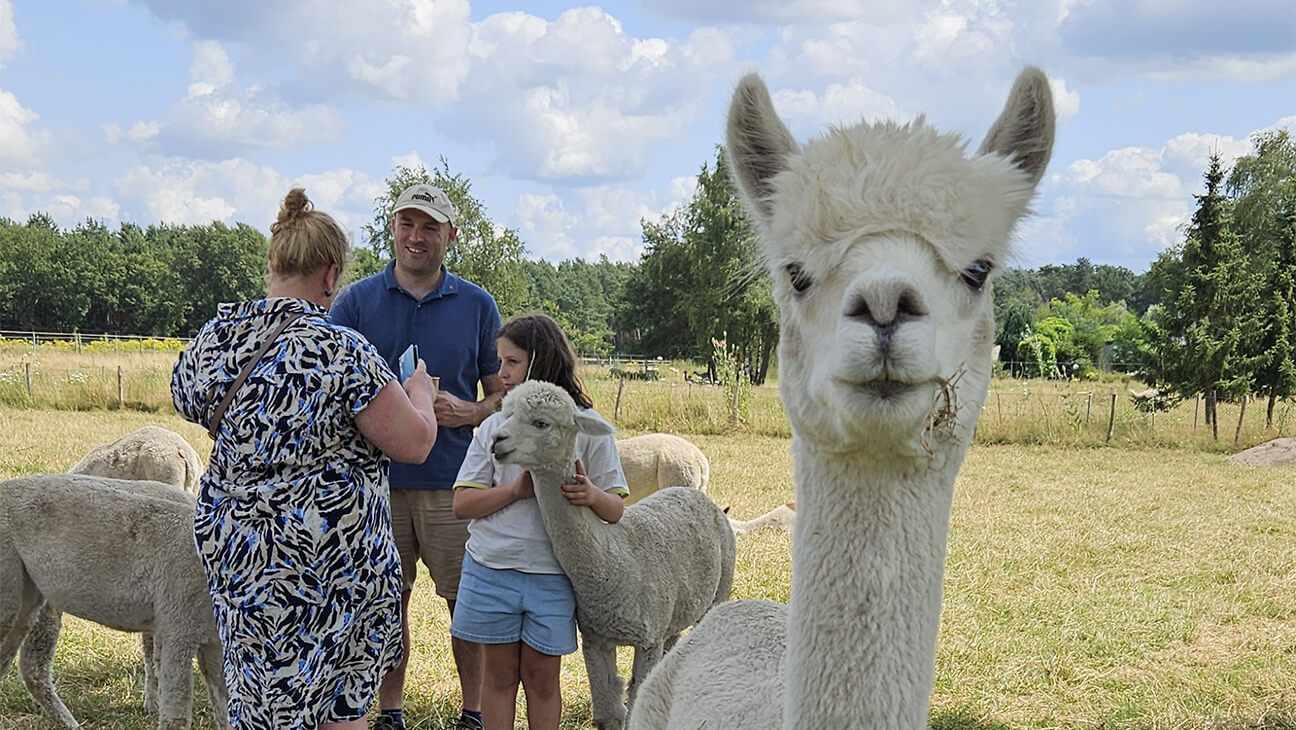 Gezin op de foto met een alpaca
