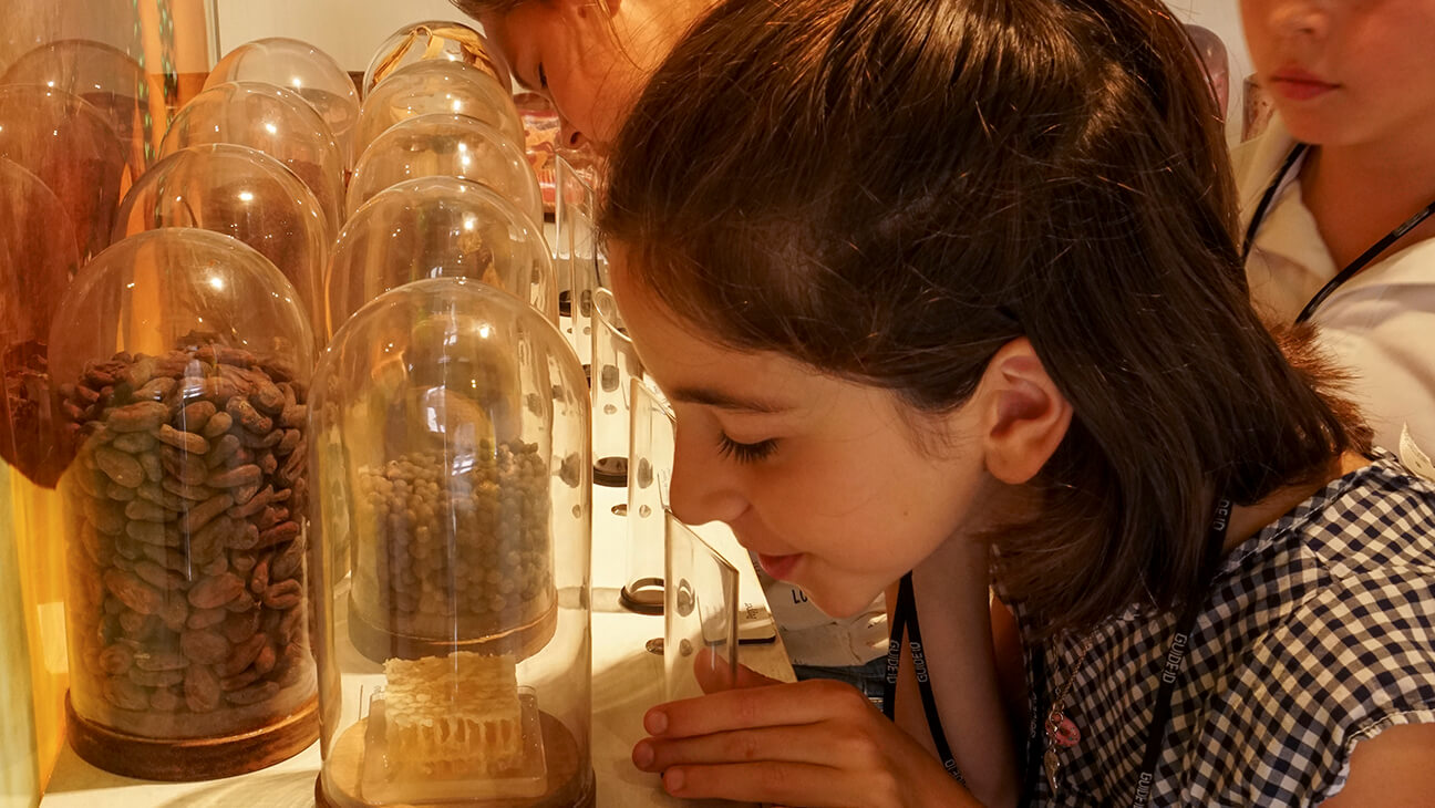 Kind ruikt aan chocolade in Choco-Story Brussels