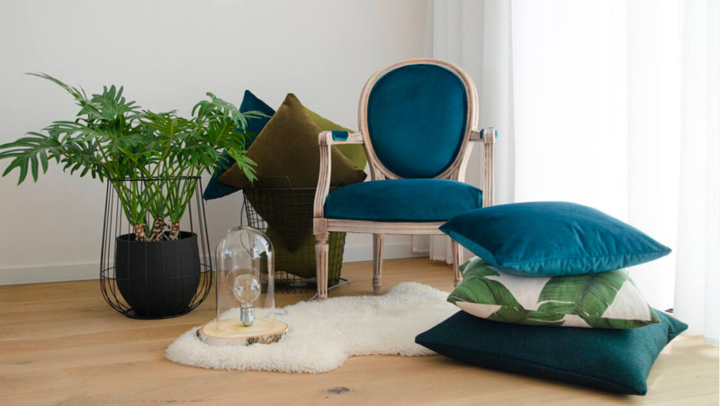 Zetel, kussens en plant in woonkamer