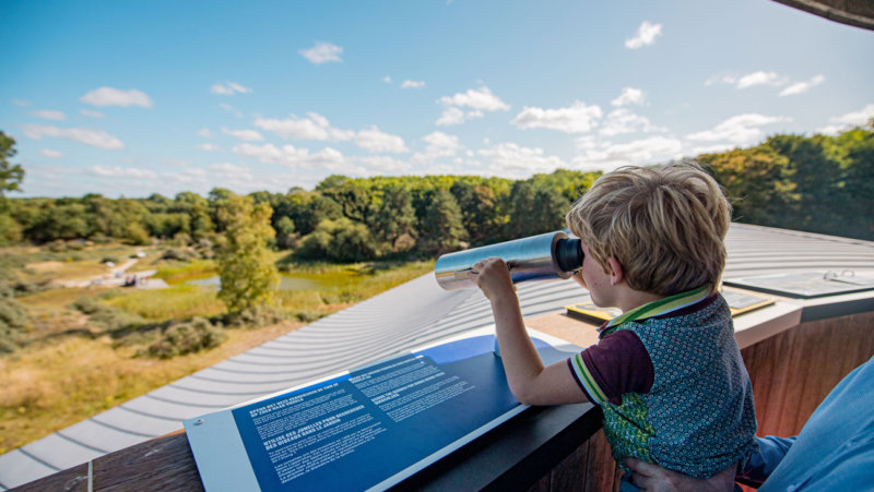 Jongen kijkt met verrekijker naar duinen