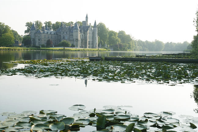 het Kasteel van Marnix de Saint-Aldegonde