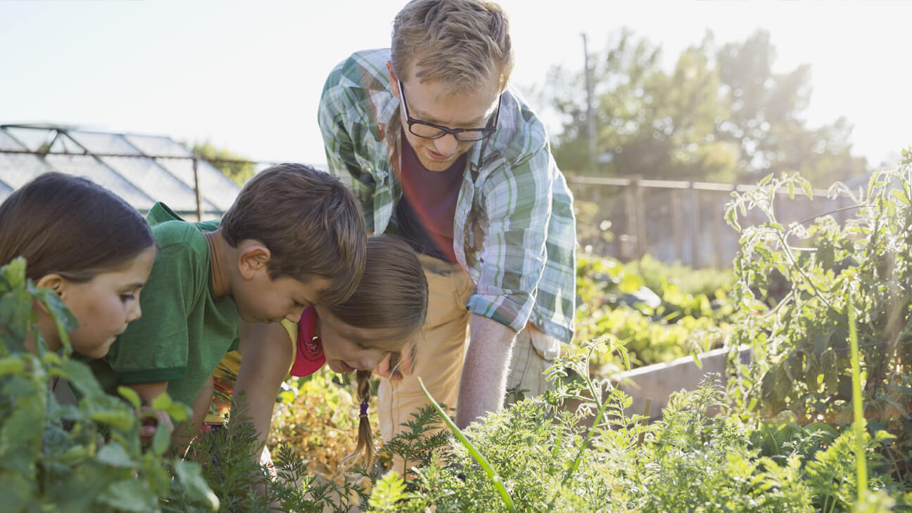 Leraar met leerlingen in moestuin