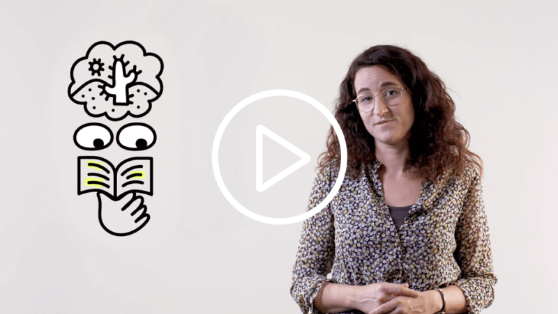 Video Leerstrategieleerstrategie actief verwerken