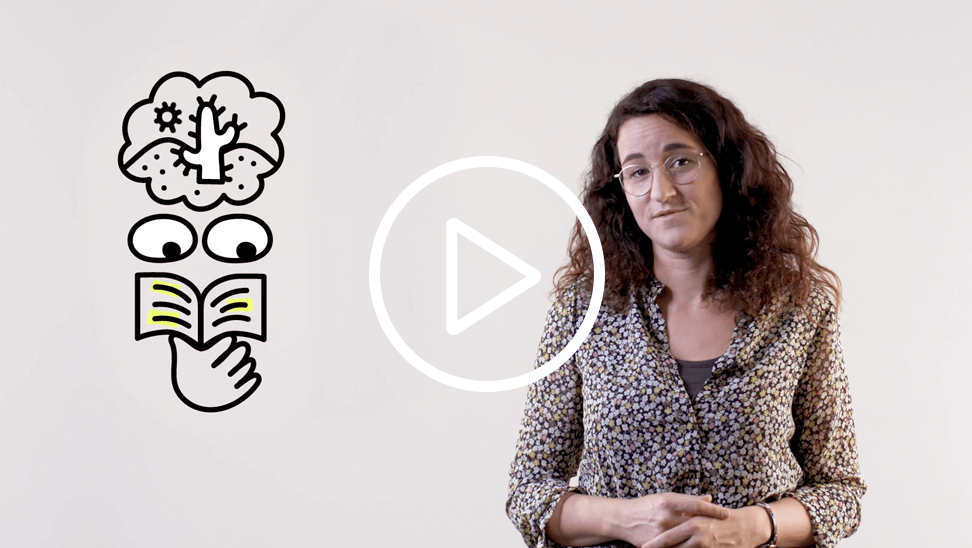 Video Leerstrategieleerstrategie actief verwerken