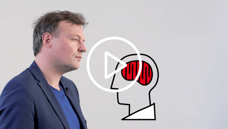 Leerstrategieën video Tim Surma