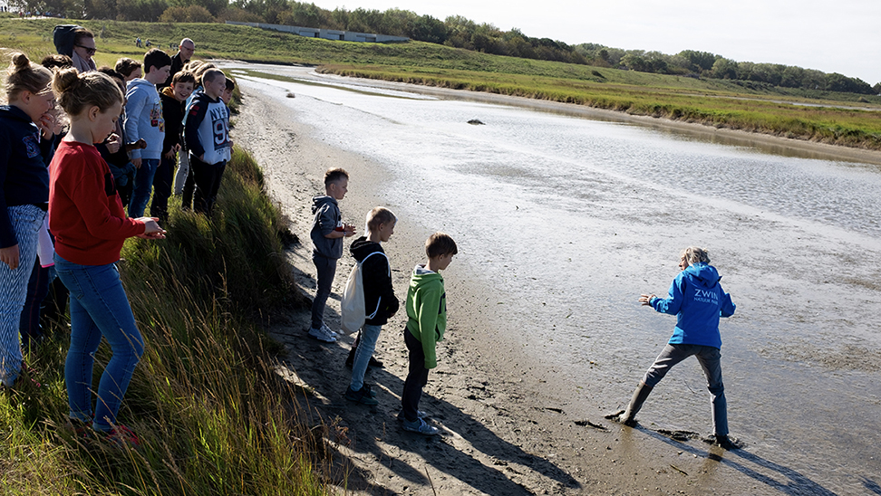 op schooluitstap in het zwin