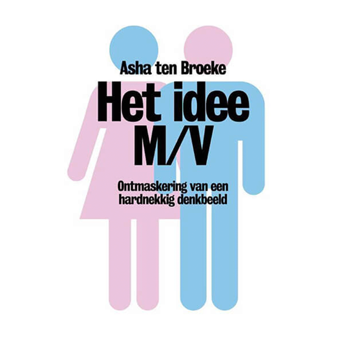 cover boek 'Het idee m/v'