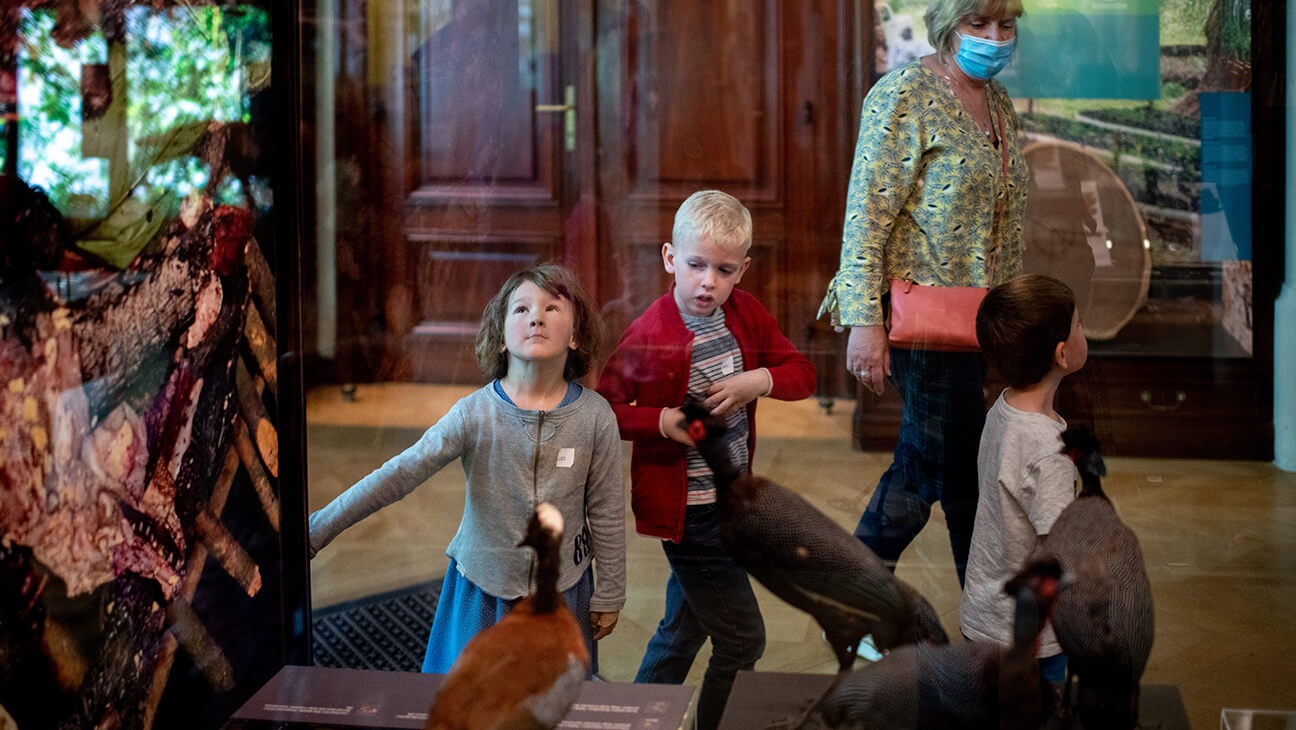 Kinderen op bezoek in het Kinderen mediteren in het AfricaMuseum