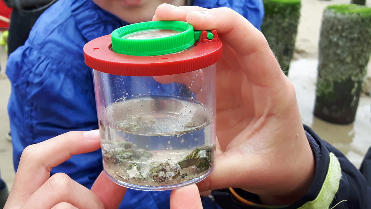 Kind toont potje met water en zeedier