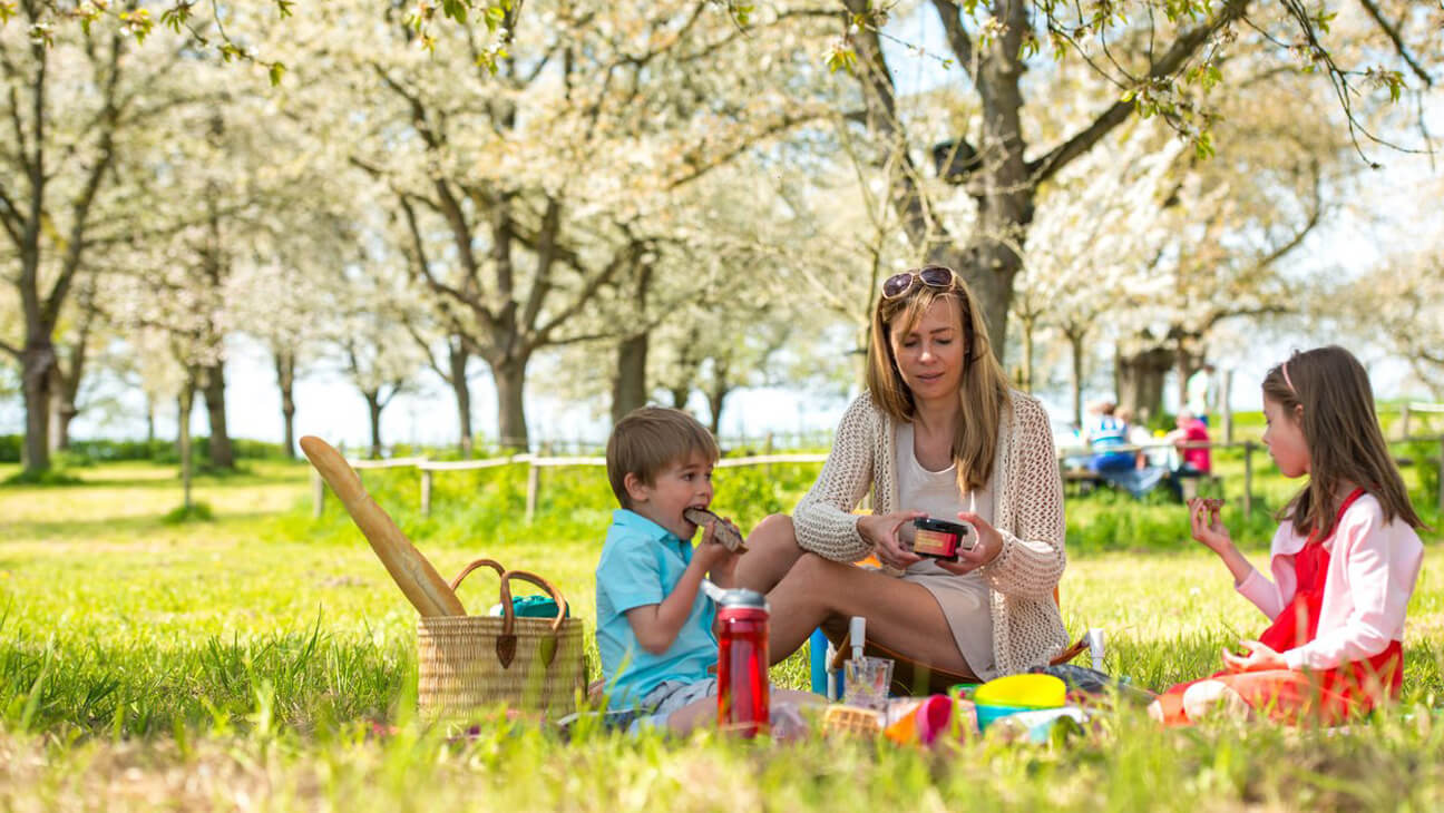 picknick tussen de bloesems