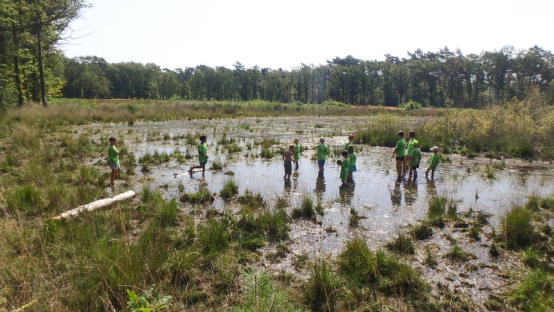 Kinderen in het water in de watersnip