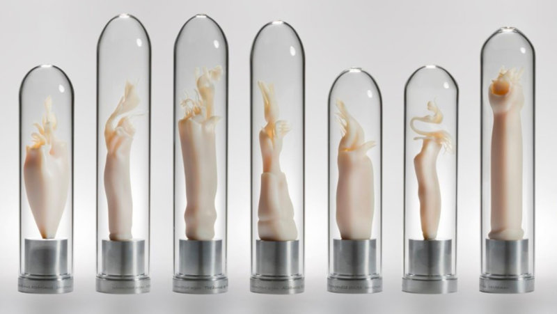 Werk uit de expo 'Phallus' van Maria Fernanda Cardoso