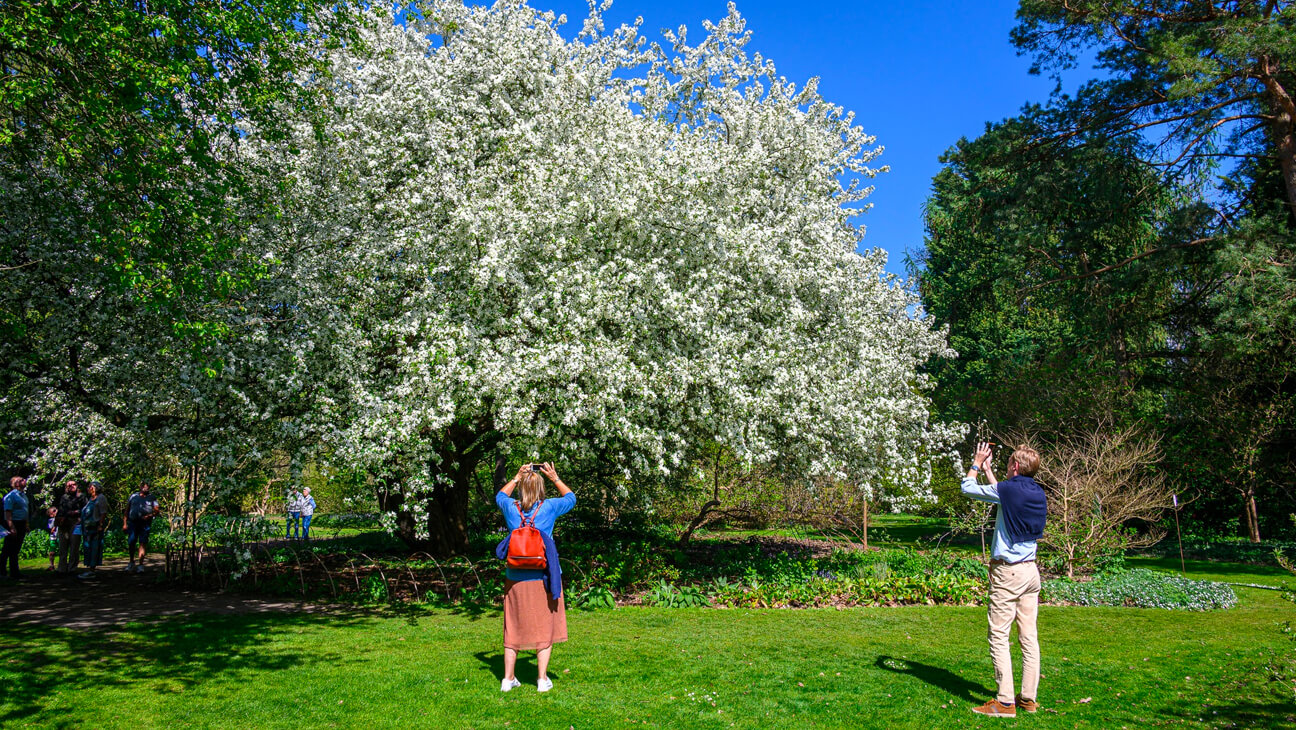 Bezoekers nemen foto's van planten in Arboretum Kalmthout