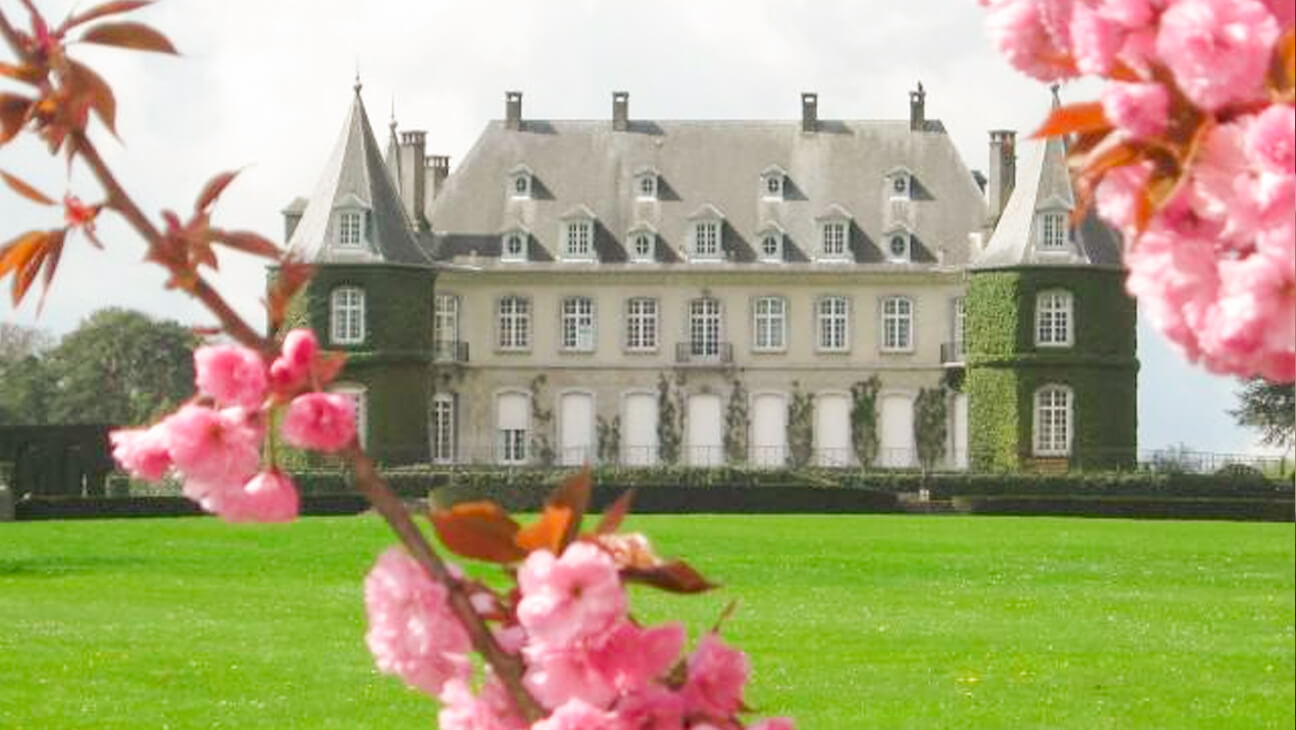 Rododendron bij het kasteel van Terhulpen