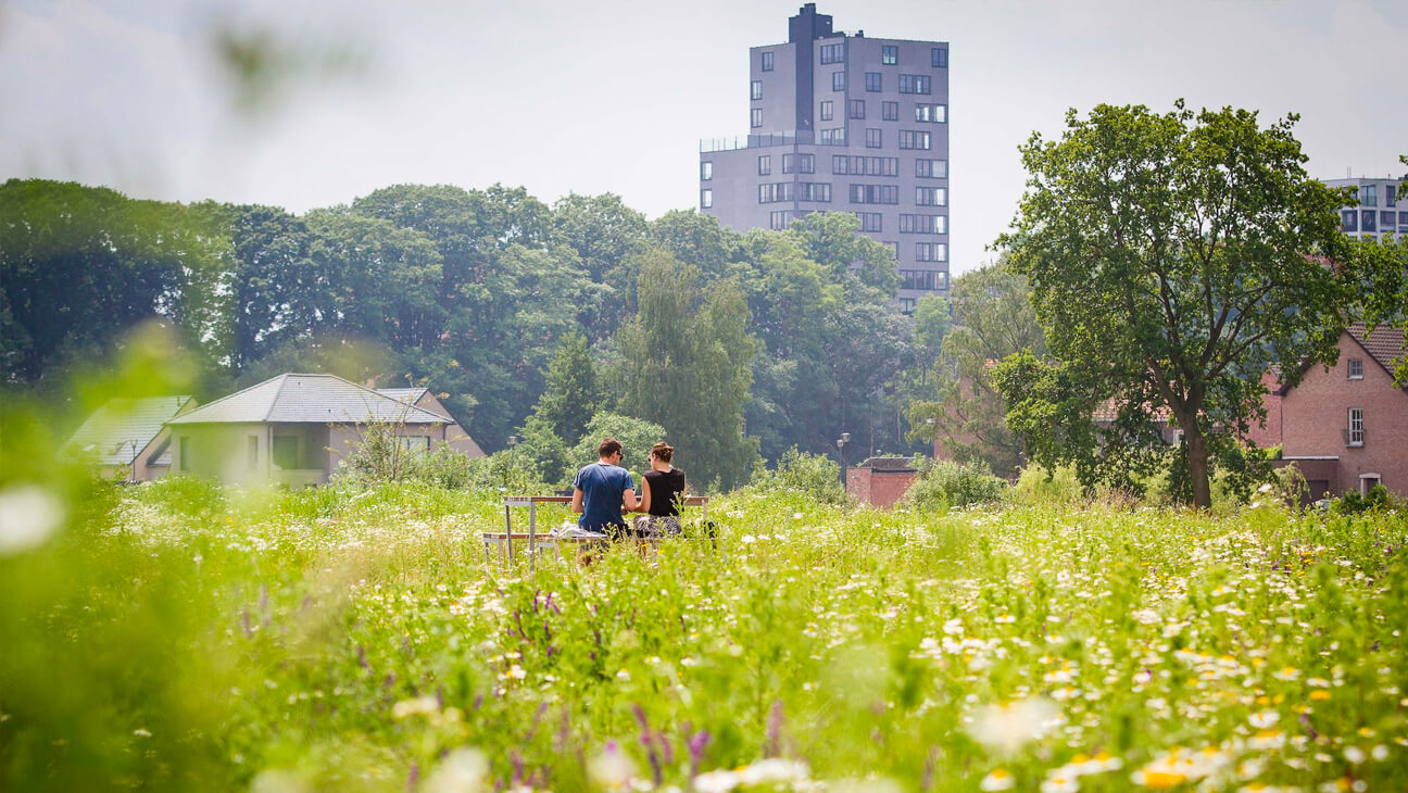 Koppel aan het picknicken in de Heizijdse Velden