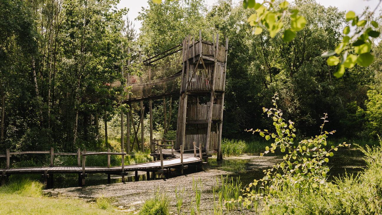 Moeras Blotevoetenpad Lieteberg Zutendaal