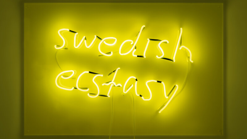 Daniel Youssef, Neon writing ’Swedish Ecstasy’, 2022, neon and glass mounted on acrylic, electric cord with socket and transformer