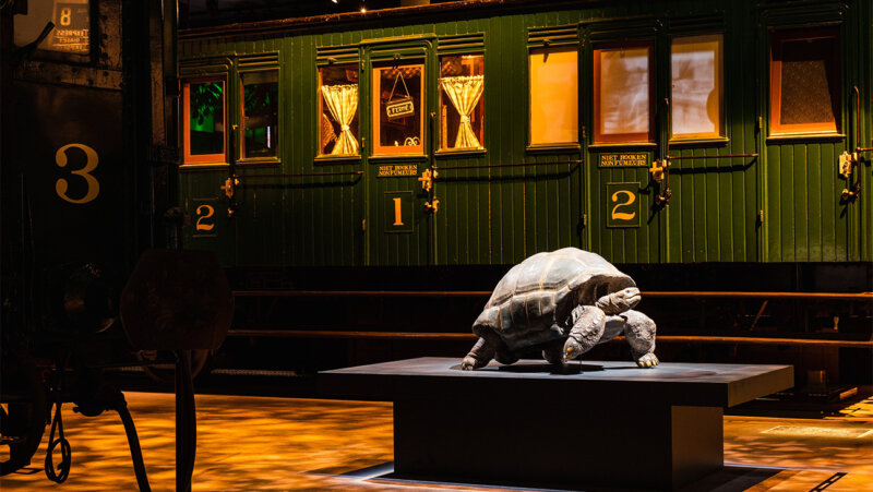 Grote schildpad voor een treinstel