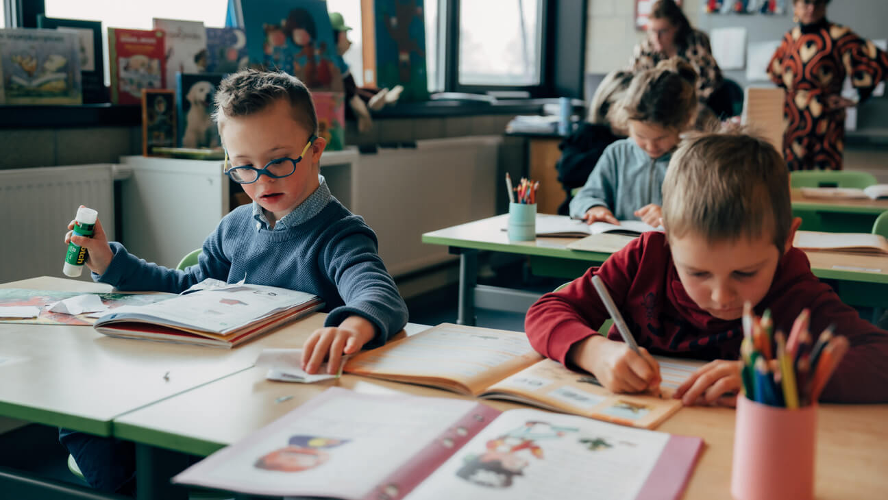 inclusie aanpassing zorgnoden school ondersteuning