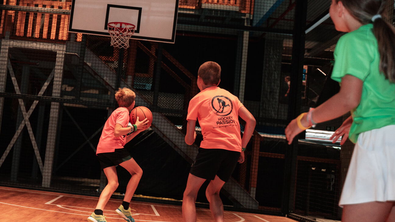 Sparkx basket