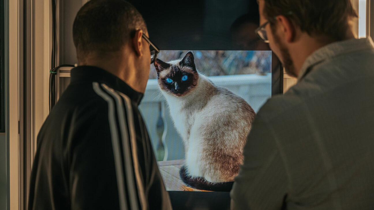 Bezoekers kijken naar een AI-beeld van een kat op de Expo AI!