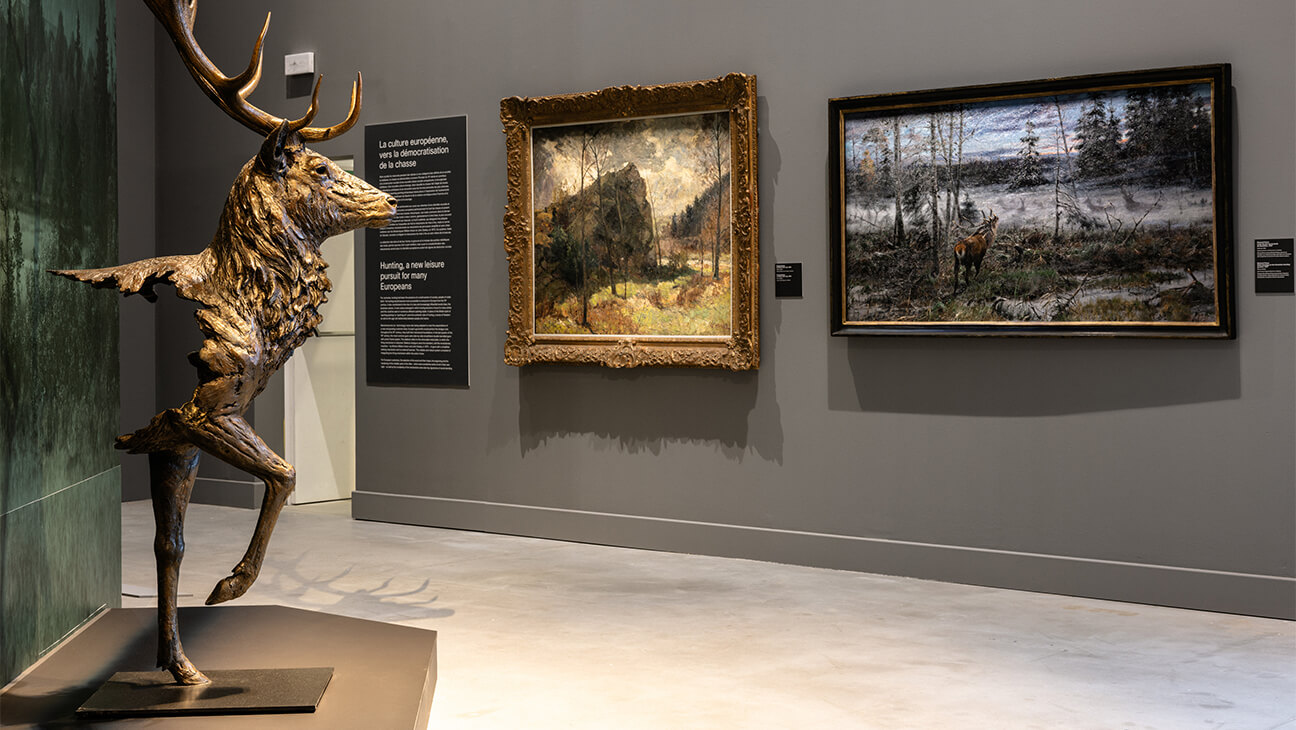 Museumzaal met Hertenkop en schilderijen 