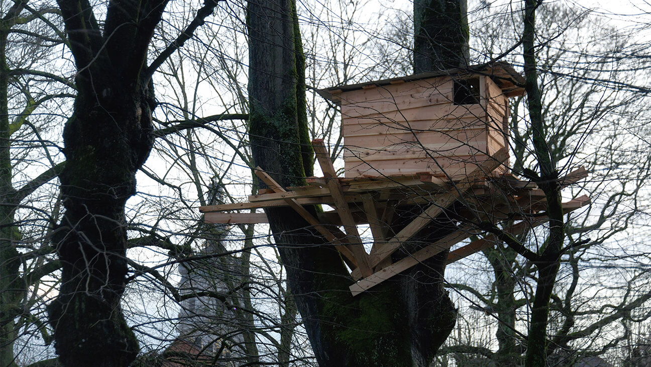 Foto van een boomhut in een bos