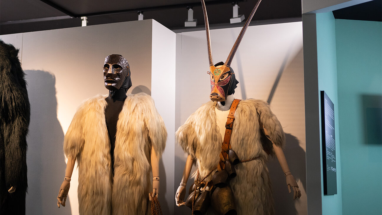 Carnavalskostuum in het MUMASK