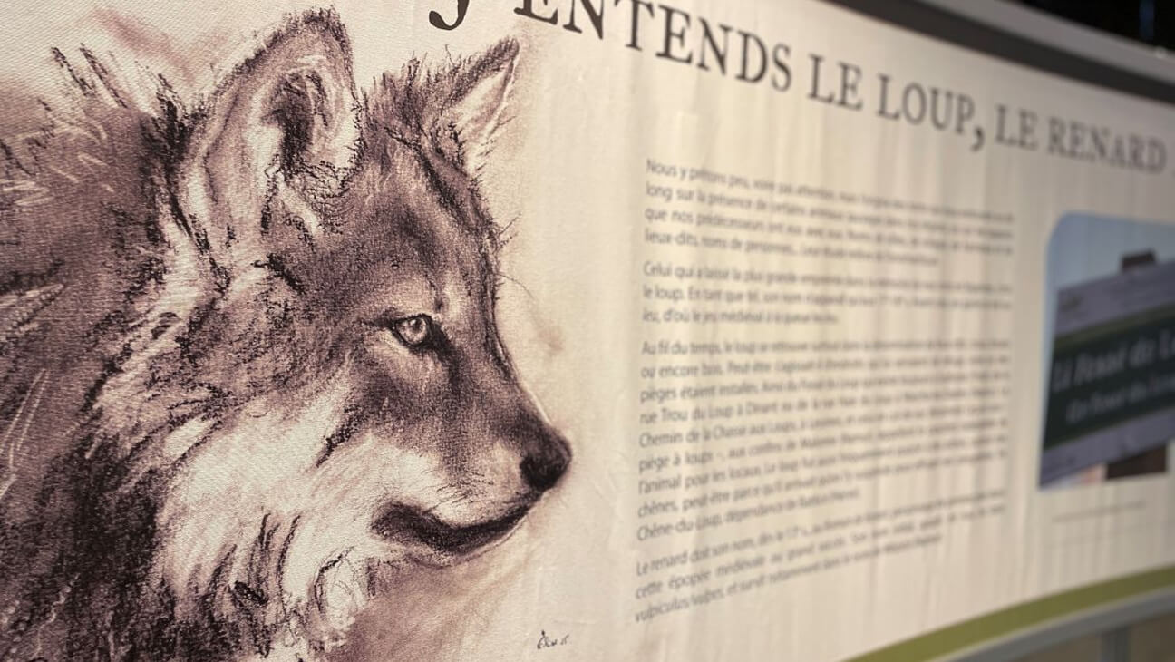 Algemeen overzicht van de tentoonstelling